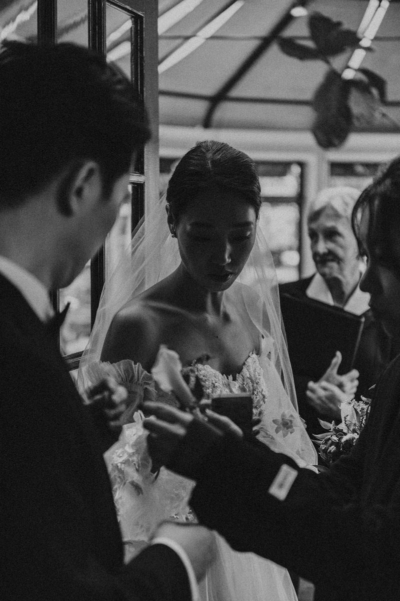Vendor photo