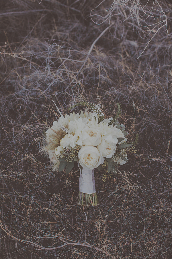 Adventurous Desert Elopement, Photo by Blue Window Creative Adventurous Desert Elopement, Photo by Blue Window Creative