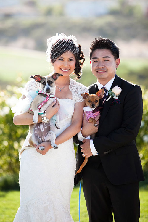 Clothing and accessories for dogs in weddings! Photos by Jules Bianchi Photography via JunebugWeddings.com Clothing and accessories for dogs in weddings! Photos by Jules Bianchi Photography via JunebugWeddings.com