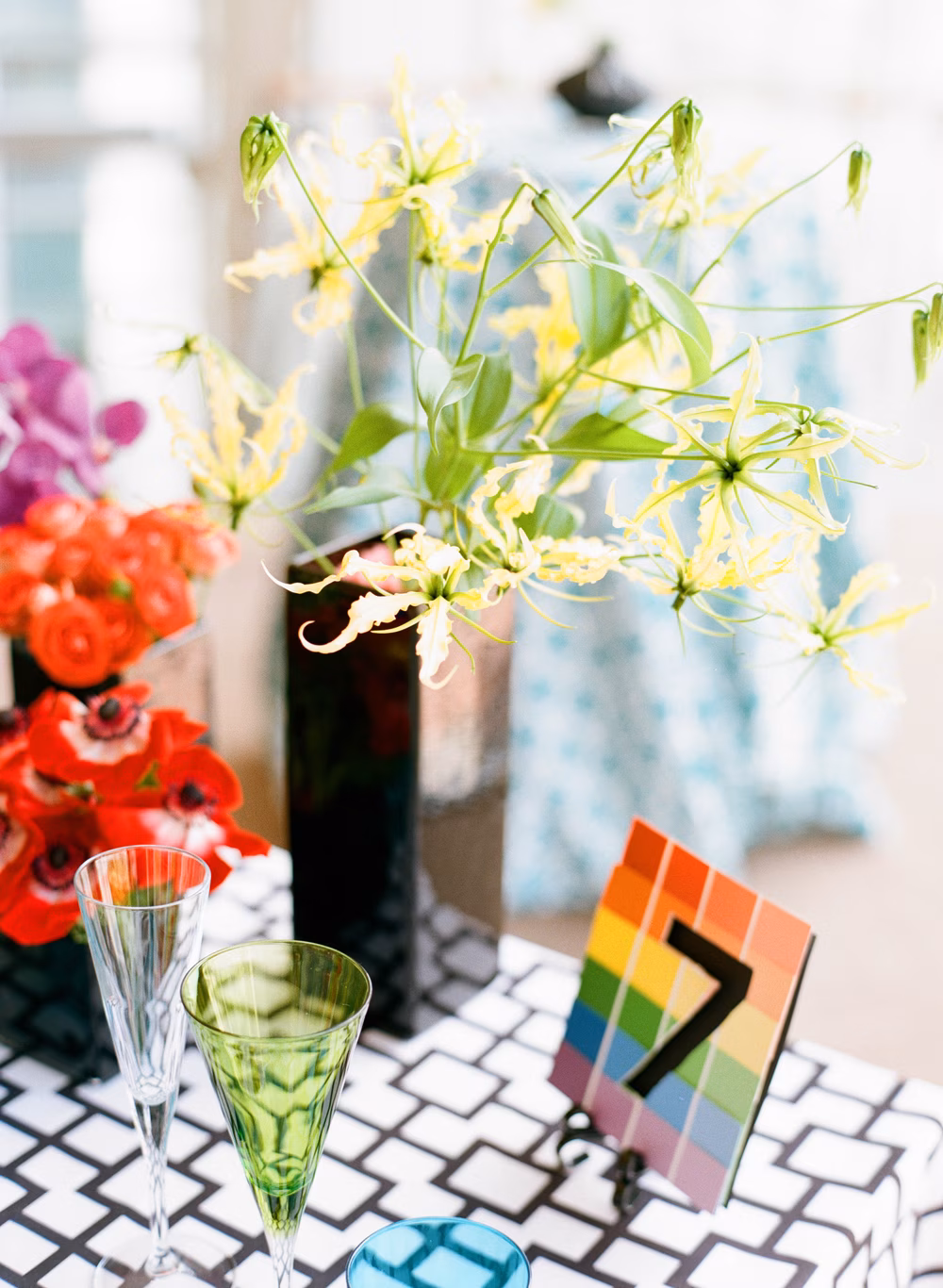 rainbow-Elizabeth-Ducan (2 of 6)