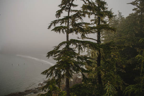 beautiful Tofino, BC beautiful Tofino, BC