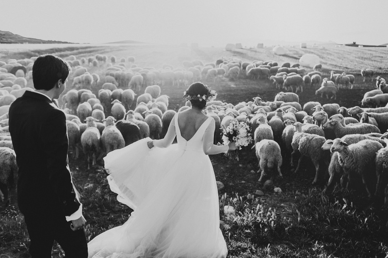 Vendor photo