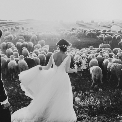People Truelove Tellers photo