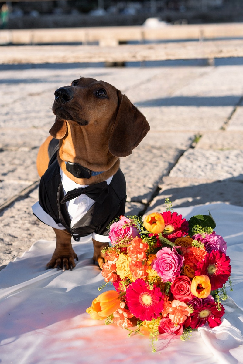 Vendor photo