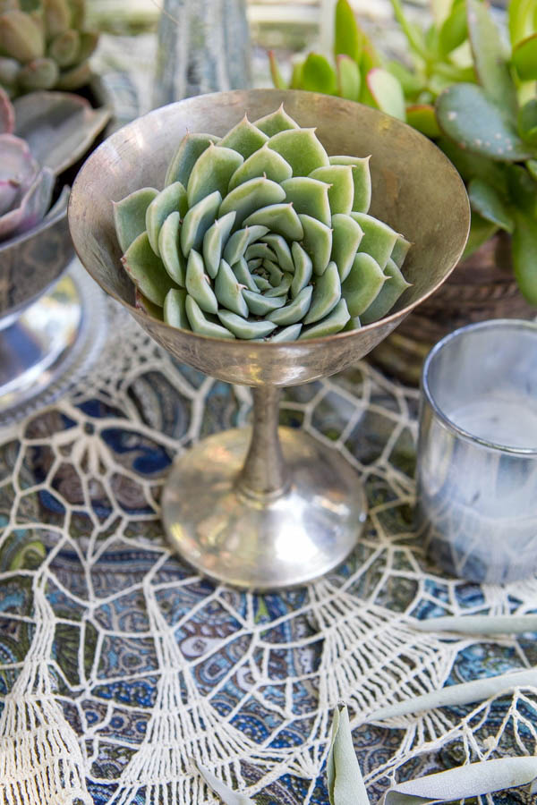 wedding succulents wedding succulents