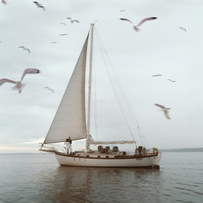 Taylor Dawning Photography photo