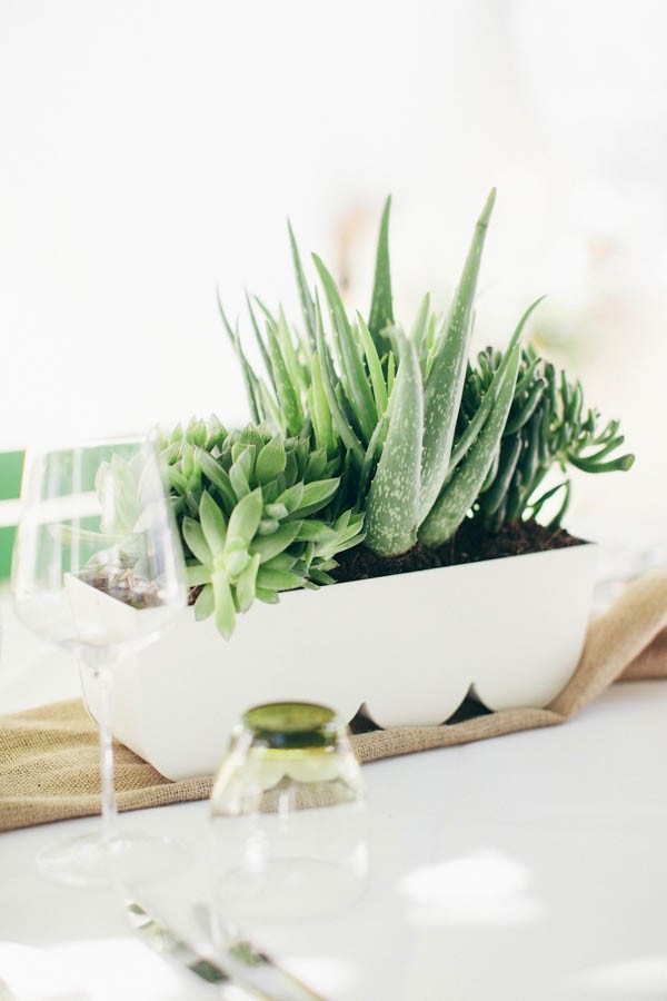 Planters-Pots-2-Boho-Austrian-Wedding-at-Gut-Purbach-Bell-Studio-12-600x900