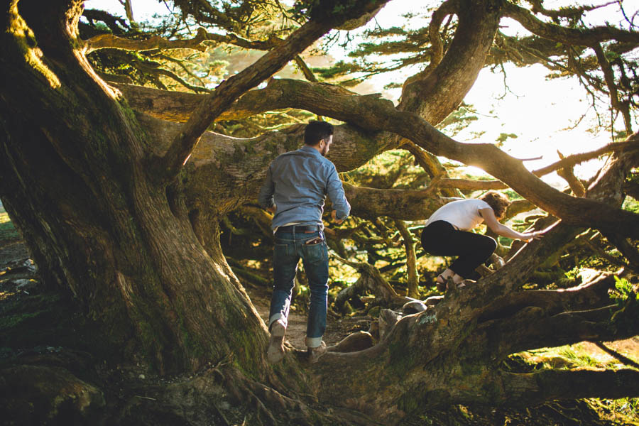 Casual-California-Engagement-Photos-at-Point-Reyes-Annamae-Photo-2799