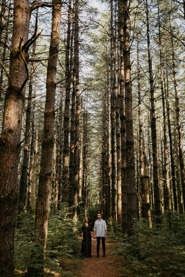 this-epic-blue-ridge-parkway-engagement-will-take-your-breath-away-34