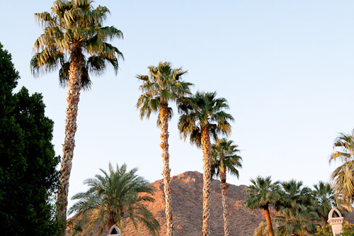 sophisticated gold, coral and cream Phoenix wedding at The Royal Palms Resort, photos by Courtney Sargent Photography sophisticated gold, coral and cream Phoenix wedding at The Royal Palms Resort, photos by Courtney Sargent Photography