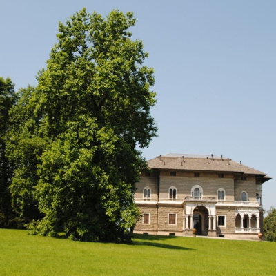 Villa del Bono photo
