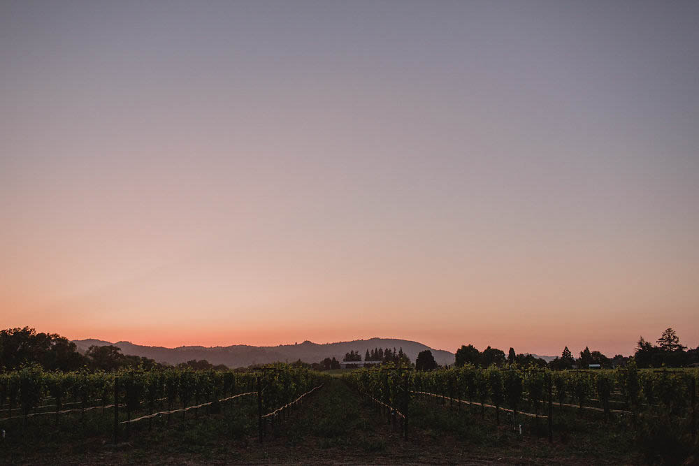 Intimate-Backyard-Wedding-in-Northern-California (27 of 28)