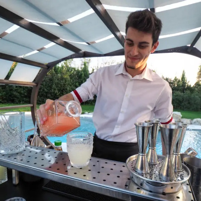Deluxe Bartending Service photo