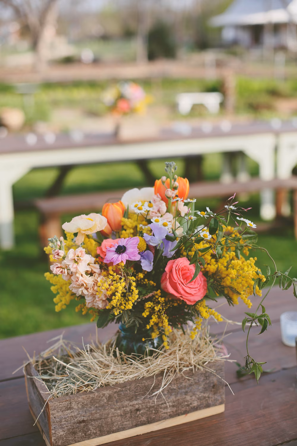 Colorful-Austin-Wedding-Springdale-Farms-15