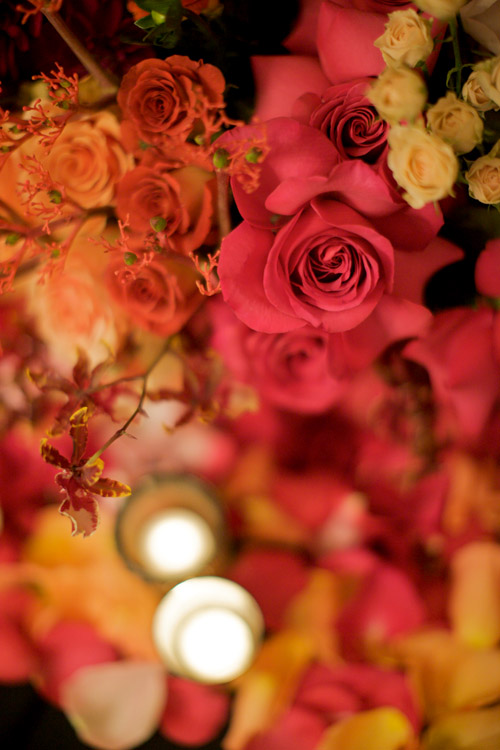 coral, pink and orange floral decor from Eddie Zaratsian of tic-tock Couture Florals, engagement photos at Park Plaza Hotel in LA by Kris Kan coral, pink and orange floral decor from Eddie Zaratsian of tic-tock Couture Florals, engagement photos at Park Plaza Hotel in LA by Kris Kan