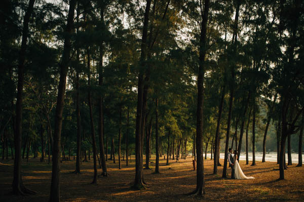 romantic couple's portrait amongst the trees romantic couple's portrait amongst the trees