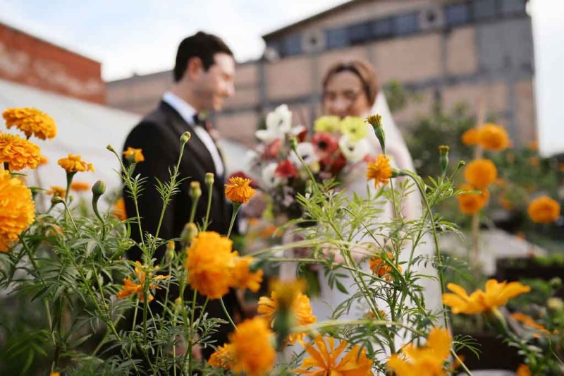Vendor photo