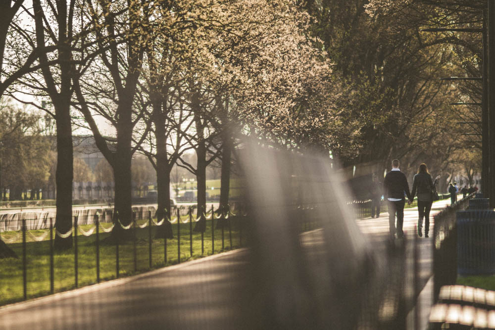 Surprise-Proposal-and-Engagement-Shoot-Washington-DC-Adibe-Photography (2 of 17)