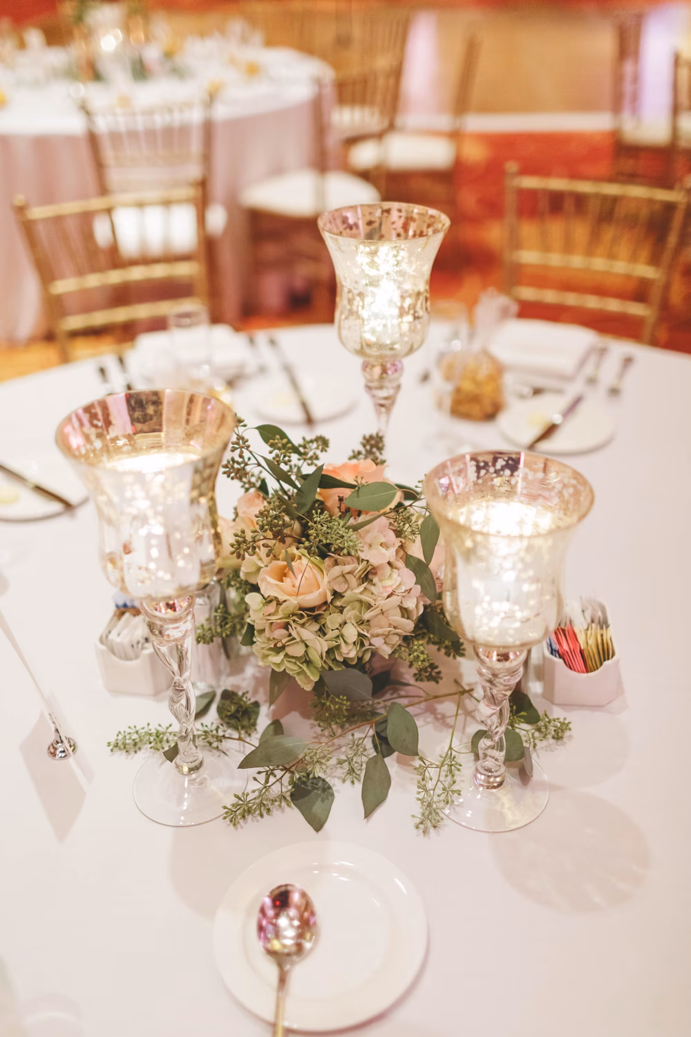 Gorgeous-Bloomington-Normal-Marriott-Hotel-Wedding-Rachael-Schirano-Photography (21 of 25)