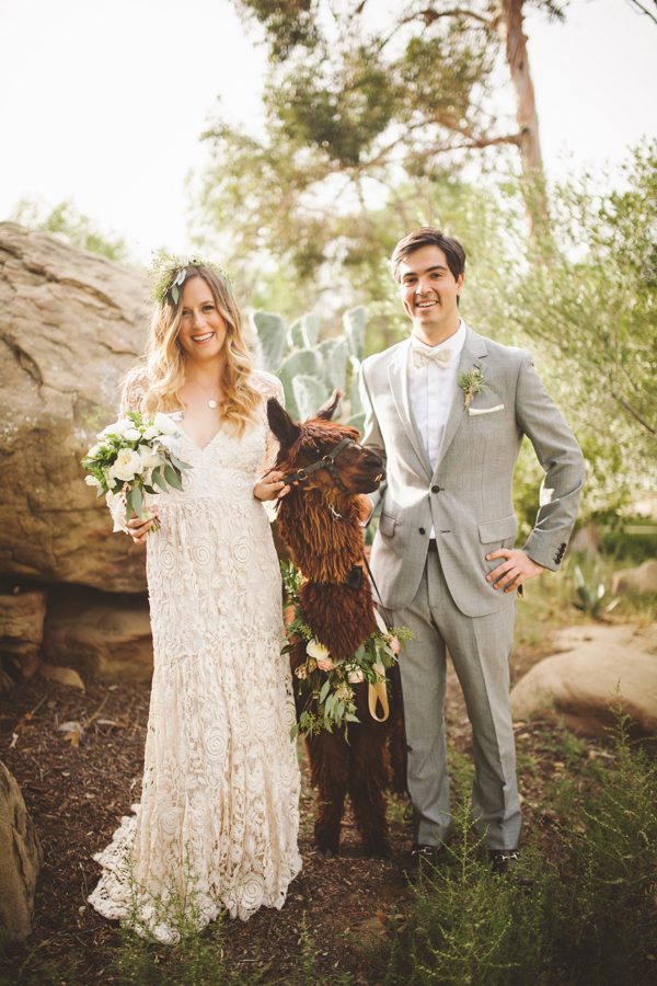 an-alpaca-almost-stole-the-spotlight-in-this-hummingbird-nest-ranch-wedding-22-600x900