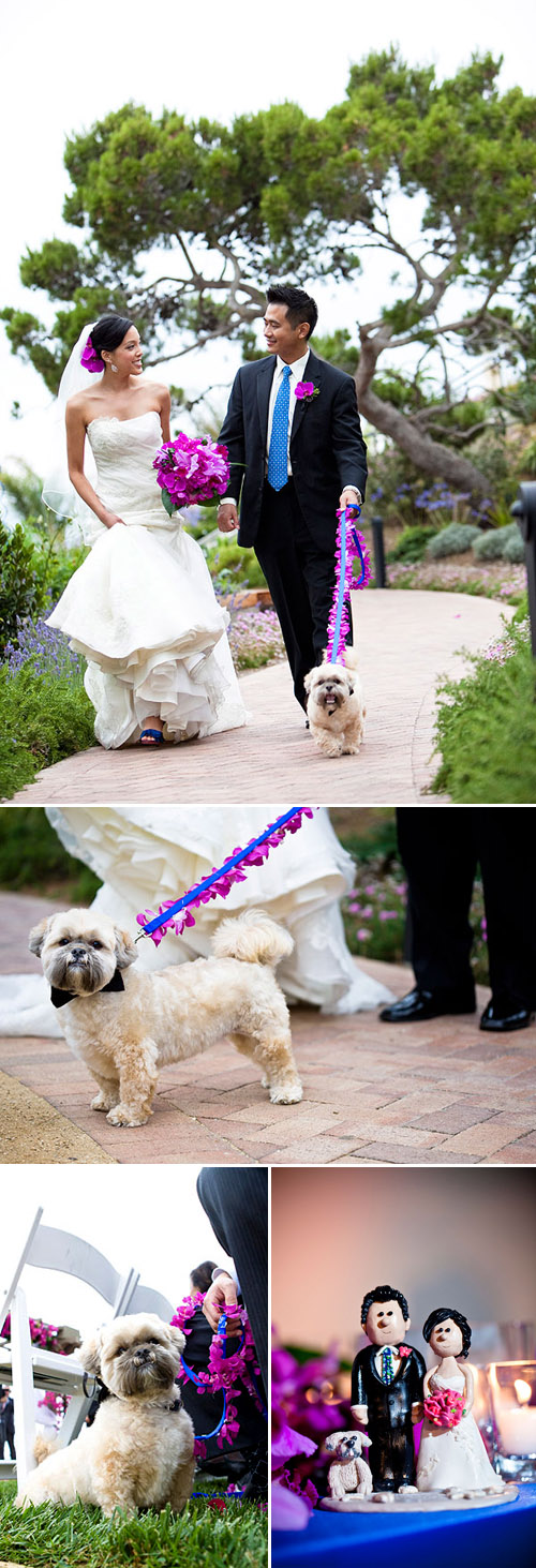 Wedding ideas for including your dog in your wedding! Photos by Jules Bianchi Photography via JunebugWeddings.com Wedding ideas for including your dog in your wedding! Photos by Jules Bianchi Photography via JunebugWeddings.com