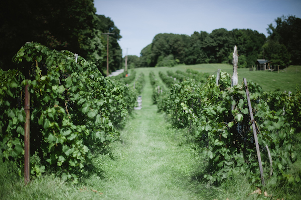 woodland wedding at Benmarl Winery, New York, photo by Richard Israel | via junebugweddings.com woodland wedding at Benmarl Winery, New York, photo by Richard Israel | via junebugweddings.com