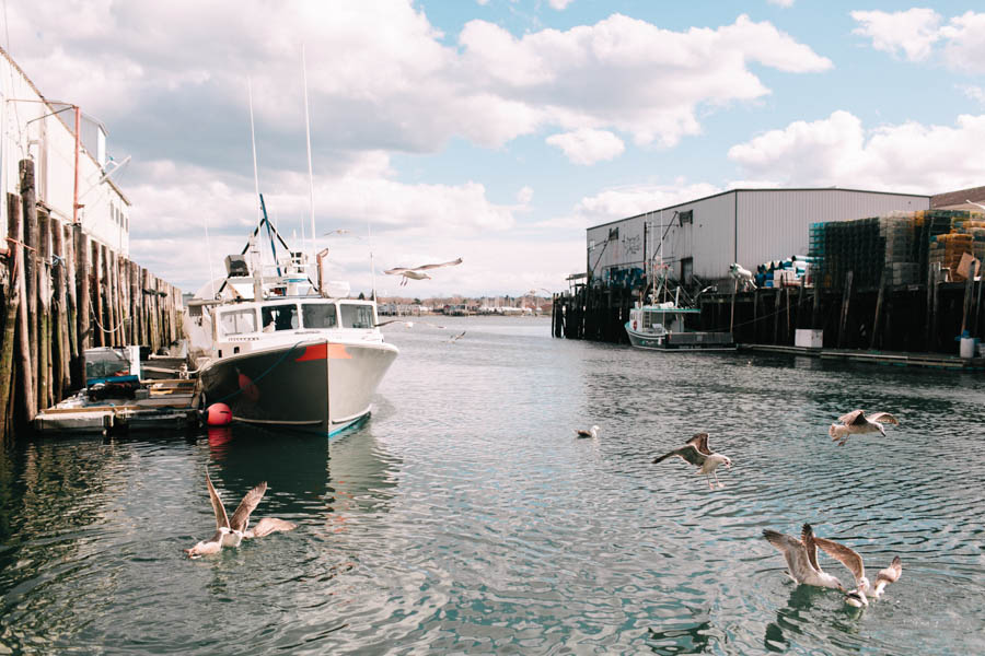 View More: http://emilydelamater.pass.us/0318bangsisland