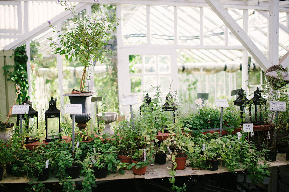 Charming-Swedish-Greenhouse-Wedding-Per-Henning (27 of 38)