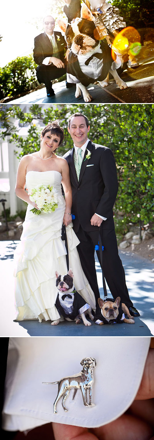 Wedding ideas for including your dog in your wedding! Photos by Jules Bianchi Photography via JunebugWeddings.com Wedding ideas for including your dog in your wedding! Photos by Jules Bianchi Photography via JunebugWeddings.com