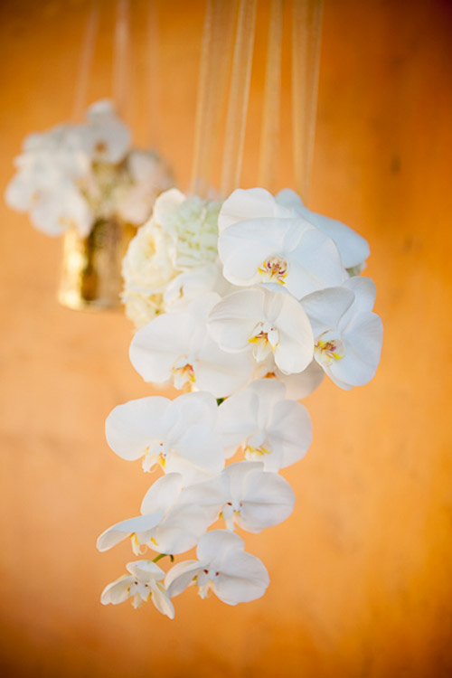 sophisticated gold, coral and cream Phoenix wedding at The Royal Palms Resort, photos by Courtney Sargent Photography sophisticated gold, coral and cream Phoenix wedding at The Royal Palms Resort, photos by Courtney Sargent Photography
