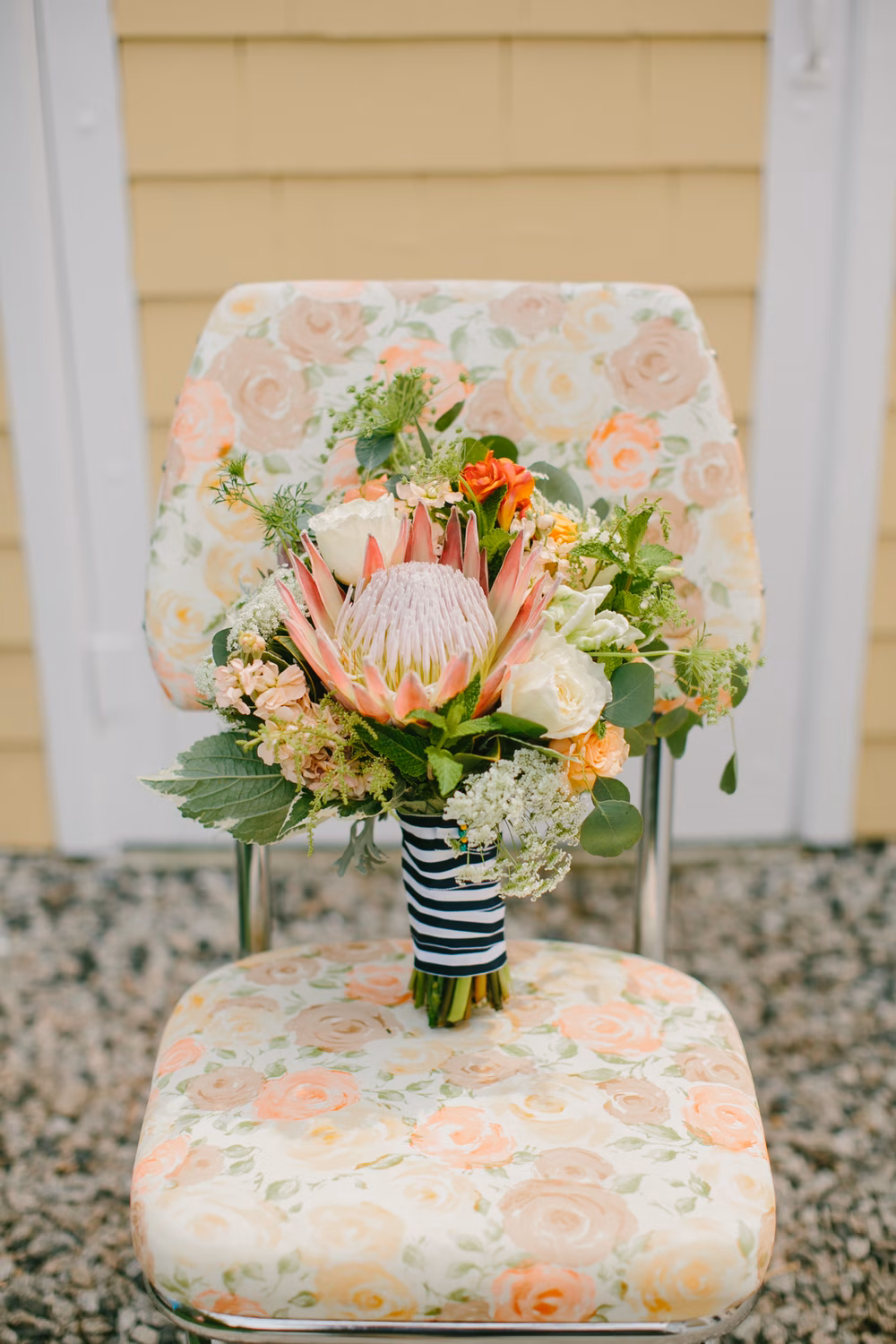 Emily Delameter Photography