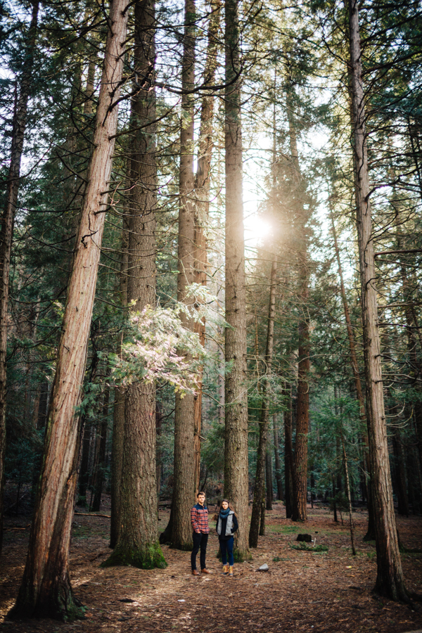 sweet-autumn-yosemite-engagement-photos-3