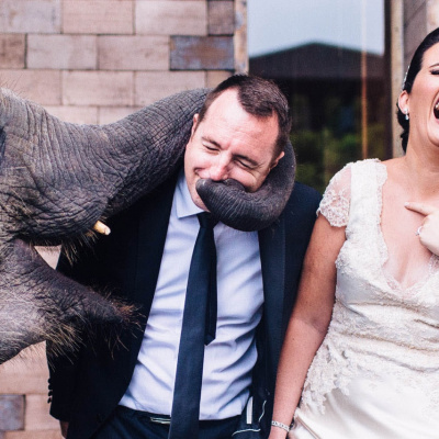 best wedding photos