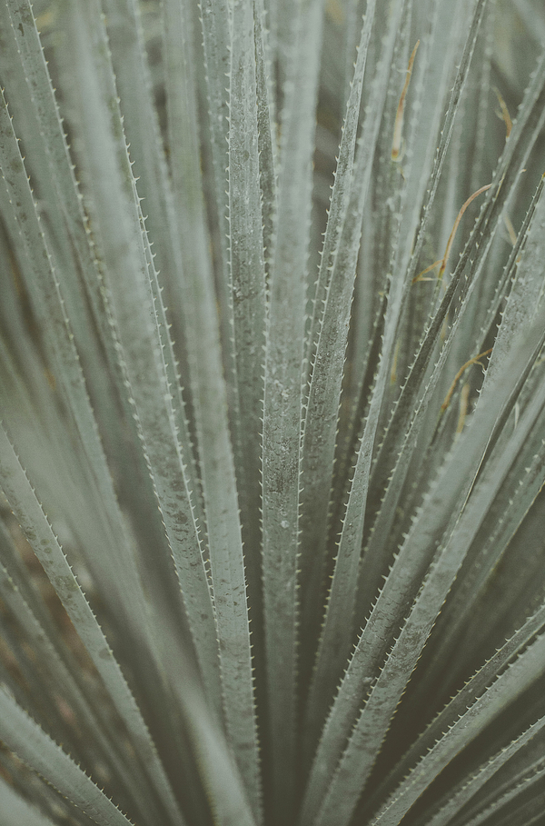 Adventurous Desert Elopement, Photo by Blue Window Creative Adventurous Desert Elopement, Photo by Blue Window Creative