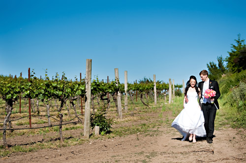 sweet pink vineyard wedding at Thomas Fogarty Winery, photos by Vincent Au Photography via JunebugWeddings.com sweet pink vineyard wedding at Thomas Fogarty Winery, photos by Vincent Au Photography via JunebugWeddings.com