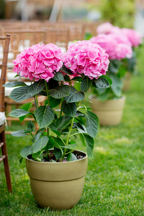 garden wedding at Inn at Windmill Lane, Amagansett, New York, with photos by Jonathan Young Weddings | via junebugweddings.com garden wedding at Inn at Windmill Lane, Amagansett, New York, with photos by Jonathan Young Weddings | via junebugweddings.com