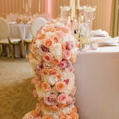 Aimee Dunne Ltd photo