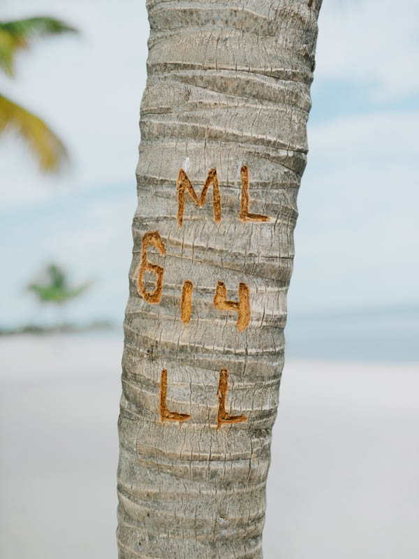 couple's initials in a palm tree couple's initials in a palm tree