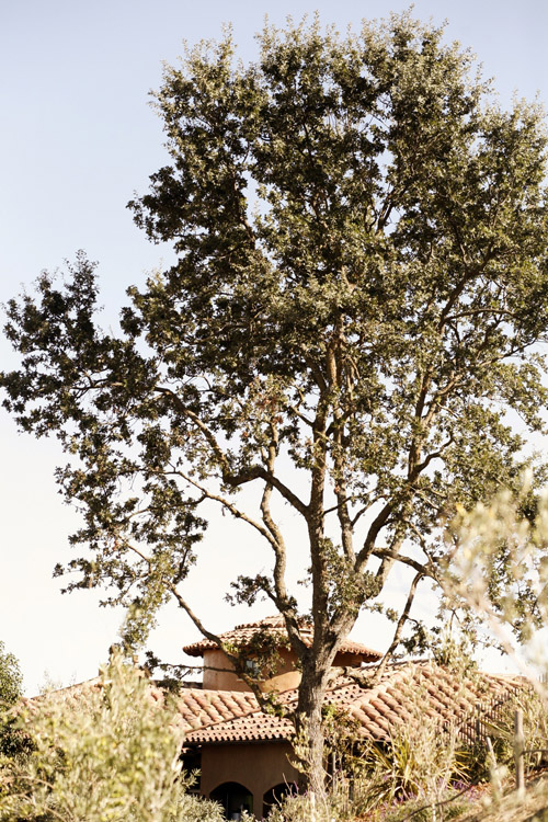Rustic California Italian villa inspired wedding by Belathee Photography | via junebugweddings.com Rustic California Italian villa inspired wedding by Belathee Photography | via junebugweddings.com