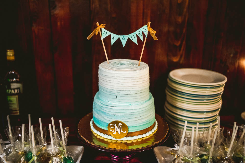 Fennel-Iris-Chicago-Wedding-Christopher-F-21