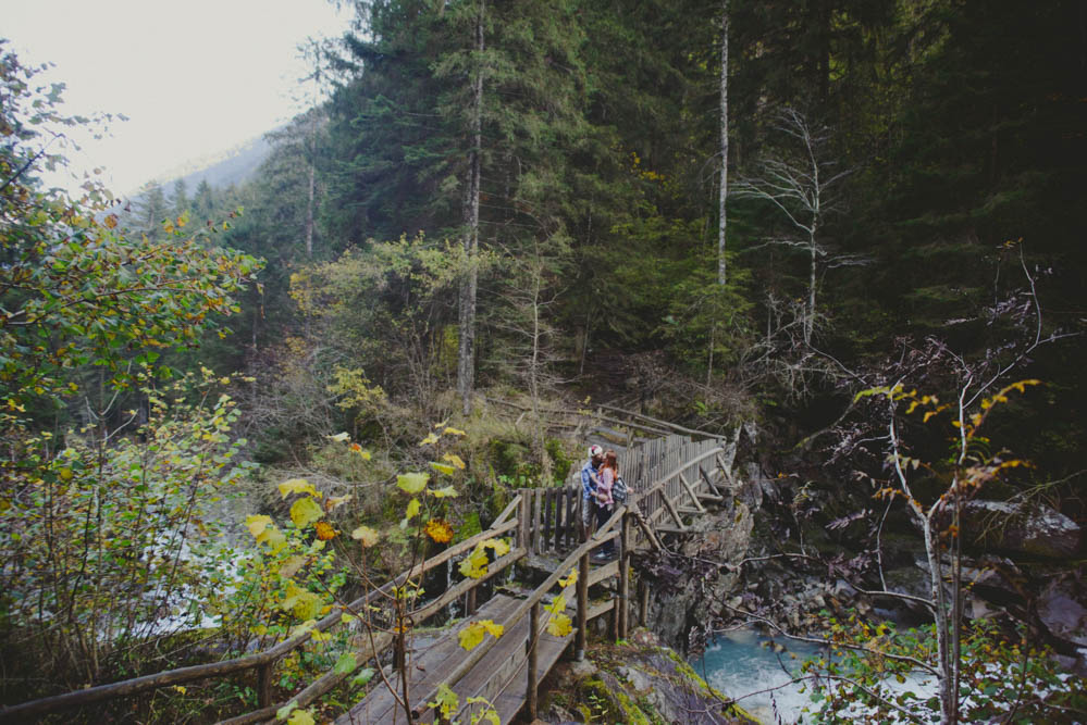 Forest-Engagement-in-Italy-8