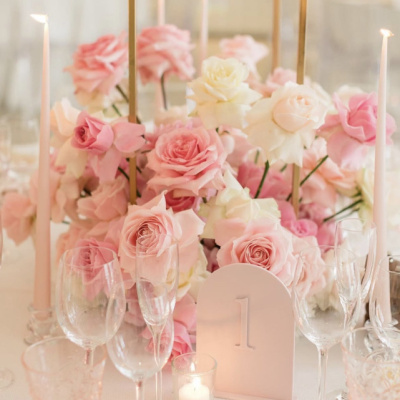 Aimee Dunne Ltd photo