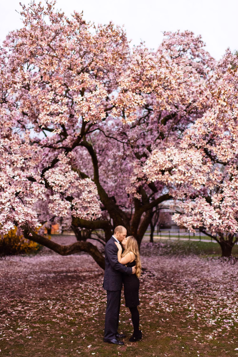 Cherry-Blossom-Engagement-Shoot-Washington-DC-Jason-Thomas-Crocker-Photography (10 of 15)