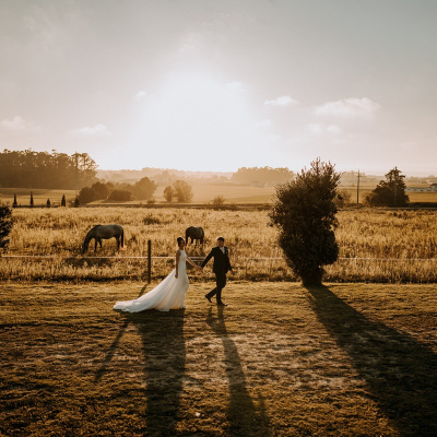 Feel Creations - Wedding Photo & Film photo