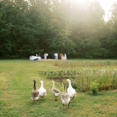 ING Weddings photo