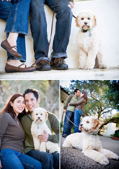 Wedding ideas for including your dog in your wedding! Photos by Jules Bianchi Photography via JunebugWeddings.com Wedding ideas for including your dog in your wedding! Photos by Jules Bianchi Photography via JunebugWeddings.com