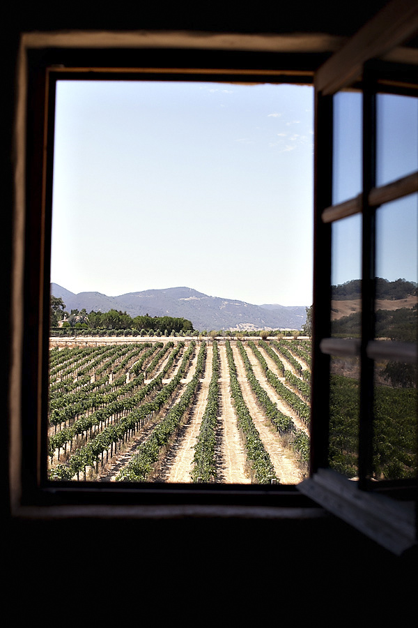 vineyard wedding at Sunstone Winery, Santa Ynez, California, photos by Santa Barbara, CA wedding photographers Ashleigh Taylor Photography | via junebugweddings.com vineyard wedding at Sunstone Winery, Santa Ynez, California, photos by Santa Barbara, CA wedding photographers Ashleigh Taylor Photography | via junebugweddings.com