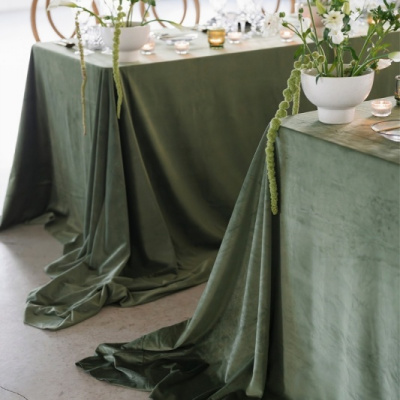 Stelloccasions photo