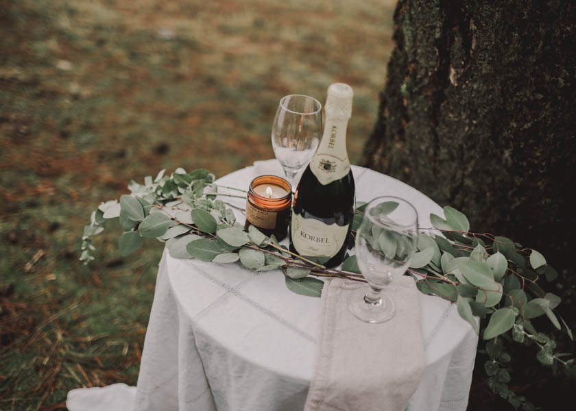 intimate-idaho-proposal-at-higgins-point-2