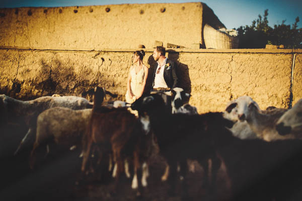 couple's portrait with local animals couple's portrait with local animals